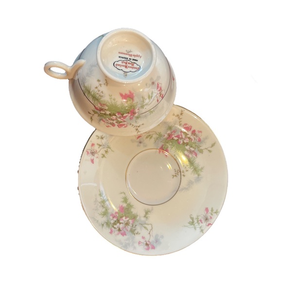 Vintage Apple Blossom - Footed Cup & Saucer Set by Haviland (New York) - Picture 5 of 5